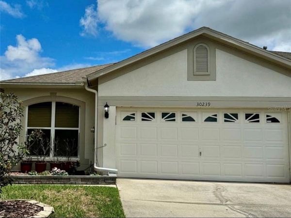 30239 EMMETTS COURT , WESLEY CHAPEL, FL 33543