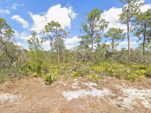 3047 WILLOW AVENUE , LAKE PLACID, FL 33852