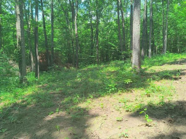 2500 S Coalmine lot 2 Road, Bloomfield, IN 47424