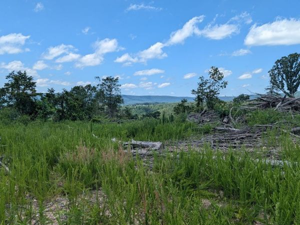 NC 2900 , Marble Falls, AR 72648