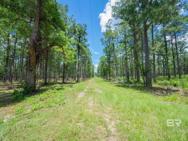 0 County Road 86, Bay Minette, AL 36507