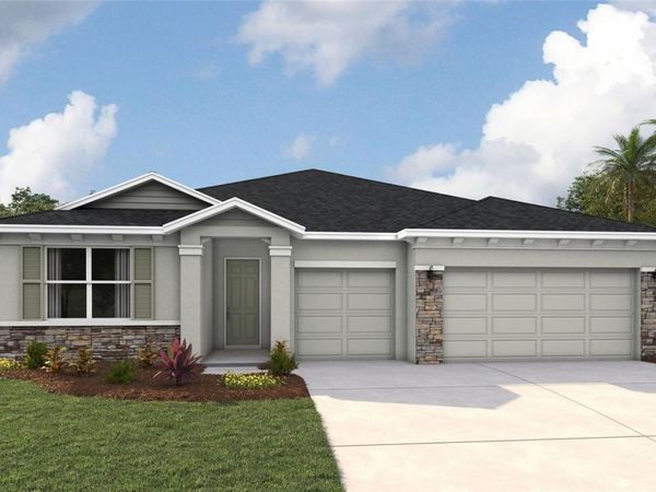 10433 WOODLAND GARDEN WAY , PARRISH, FL 34219