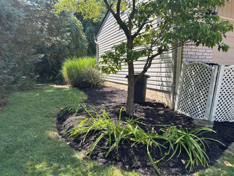 4667 Wendler Boulevard, Columbus, OH 43230 Photo 5