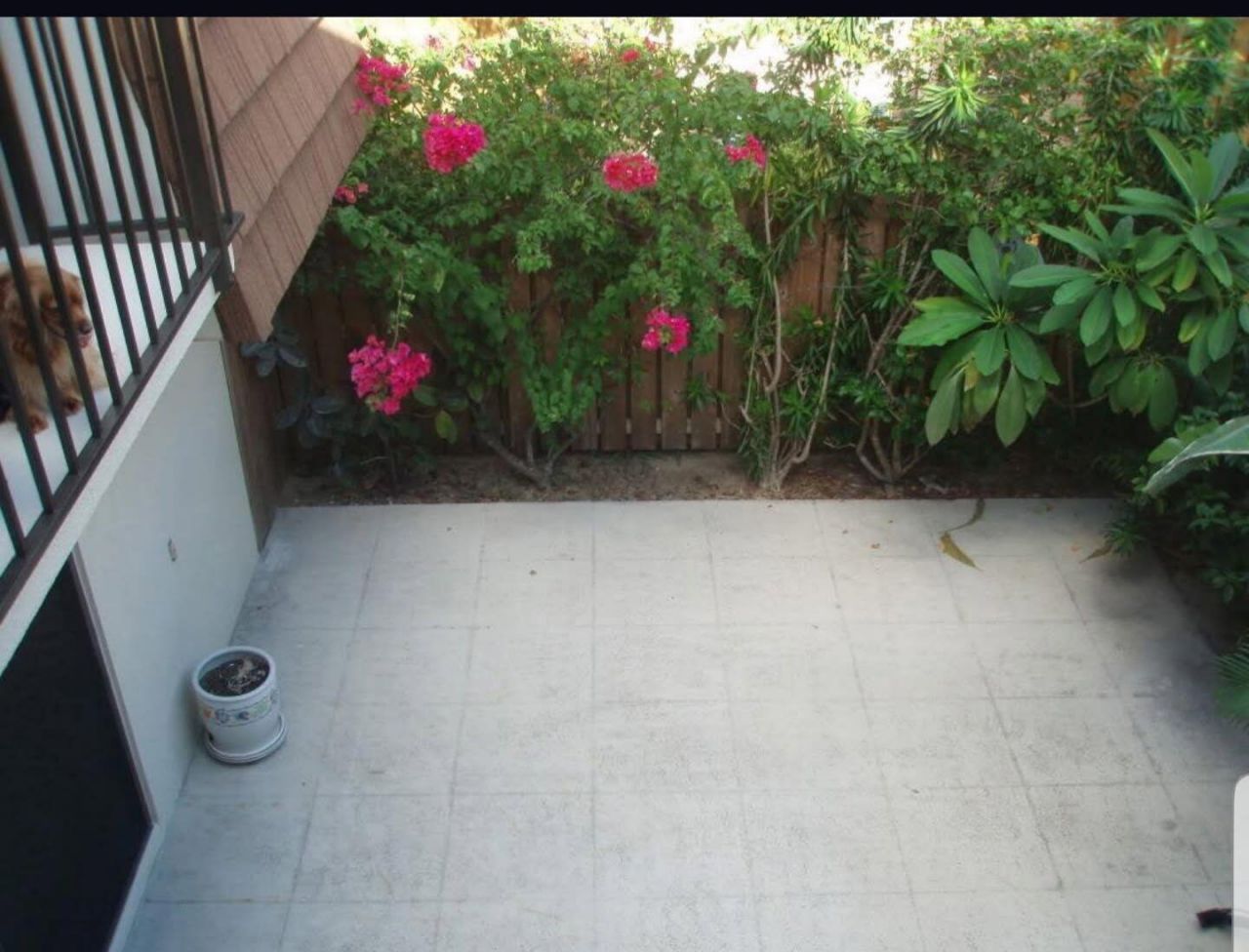 2411 24th Court, Jupiter, FL 33477 Photo