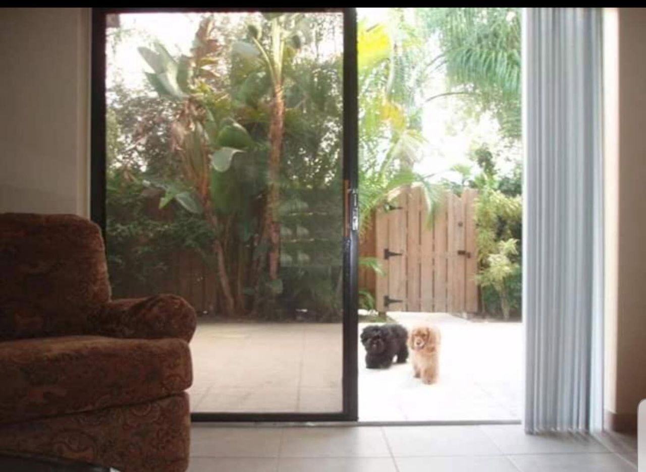 2411 24th Court, Jupiter, FL 33477 Photo