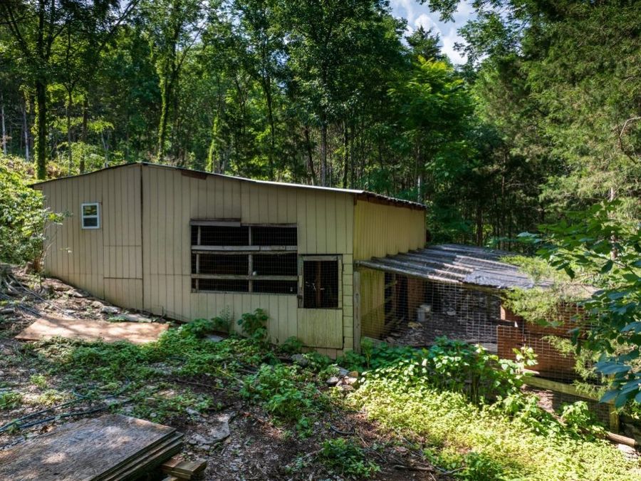Property Image 15