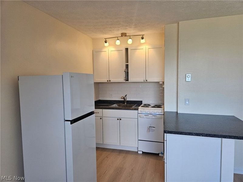11850 Edgewater Drive, Unit 1007, Lakewood, OH 44107 Photo 4