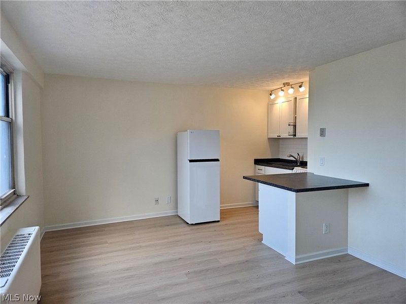 11850 Edgewater Drive, Unit 1007, Lakewood, OH 44107 Photo 5