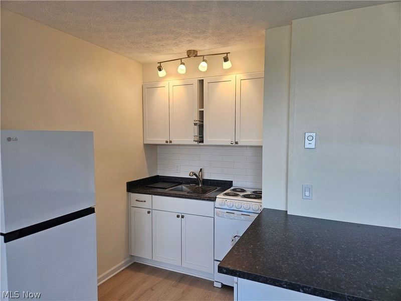 11850 Edgewater Drive, Unit 1007, Lakewood, OH 44107 Photo 6