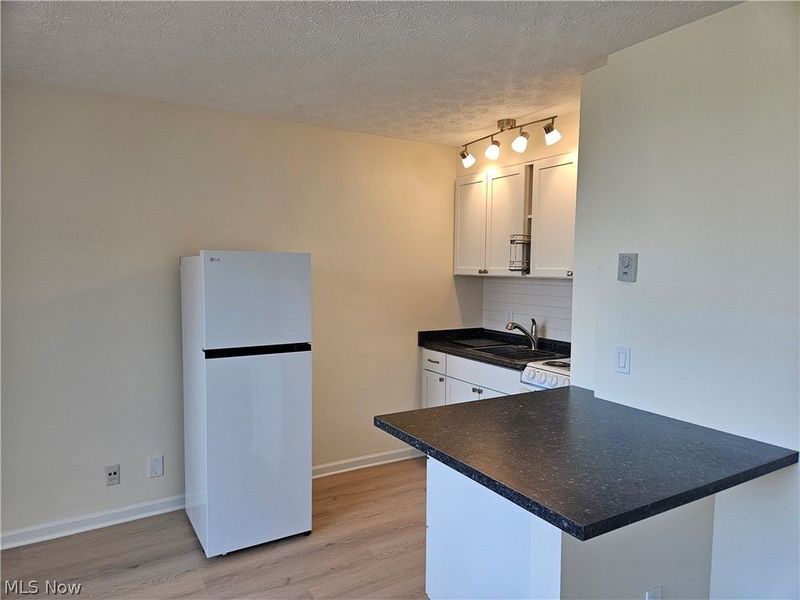 11850 Edgewater Drive, Unit 1007, Lakewood, OH 44107 Photo 7