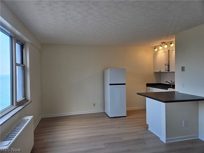 11850 Edgewater Drive, Unit 1007, Lakewood, OH 44107 Photo 8