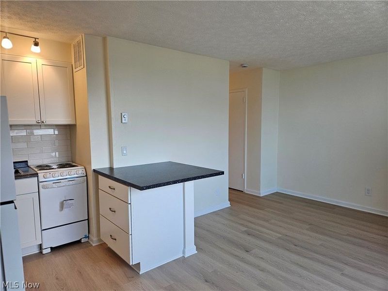 11850 Edgewater Drive, Unit 1007, Lakewood, OH 44107 Photo 9