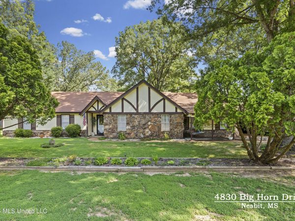 4830 S Big Horn Drive, Nesbit, MS 38651