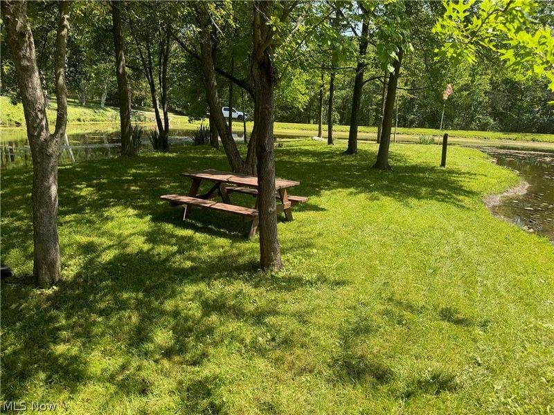 8897 Hillcrest Drive, Westfield Center, OH 44251 Photo 5