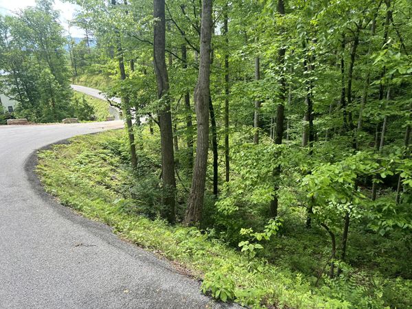 Lot 3 Old Cartertown rd (4.49 acres), Gatlinburg, TN 37738
