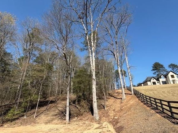 Lot 0 Jack Pittman Road , Dacula, GA 30019