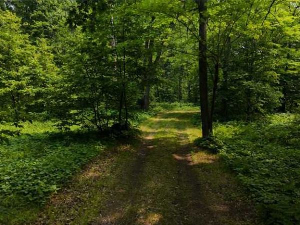 TBD BB Mann Road , Spooner, WI 54801