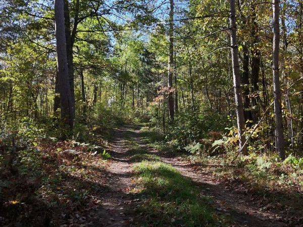 TBD BB Mann Road , Spooner, WI 54801