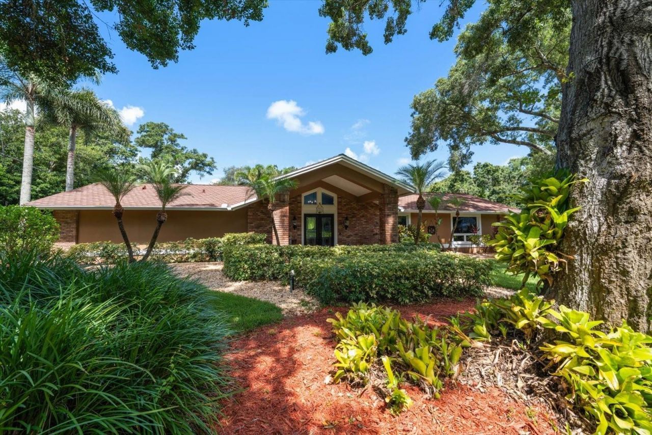 4141 Winding Willow Drive, Palm Harbor, FL 34683 Photo