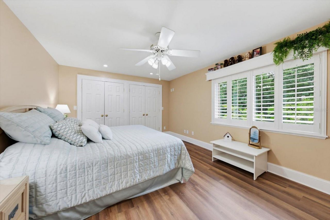 4141 Winding Willow Drive, Palm Harbor, FL 34683 Photo