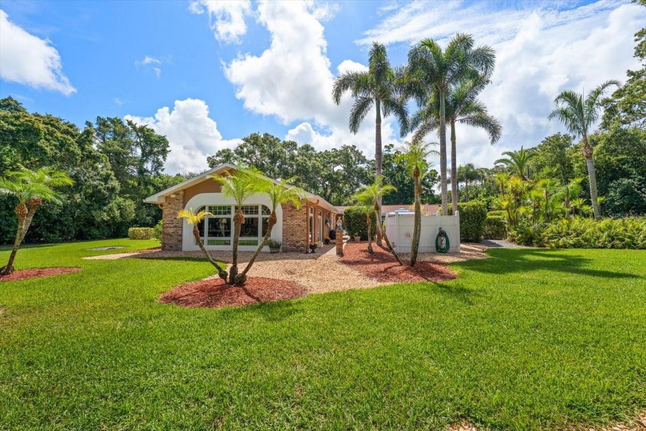 4141 Winding Willow Drive, Palm Harbor, FL 34683 Photo