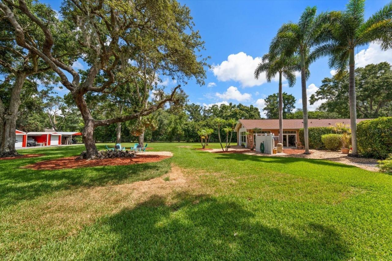 4141 Winding Willow Drive, Palm Harbor, FL 34683 Photo