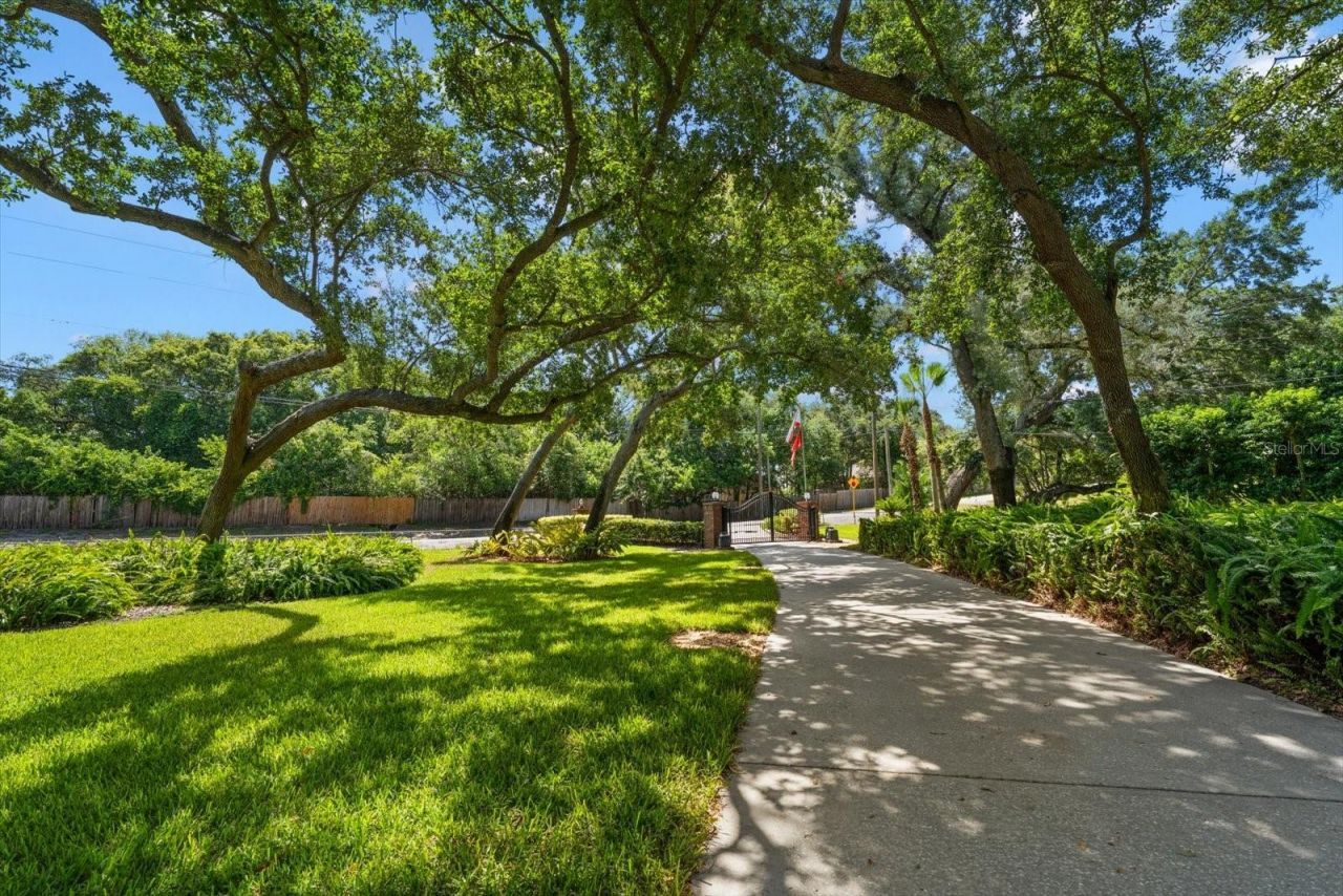 4141 Winding Willow Drive, Palm Harbor, FL 34683 Photo