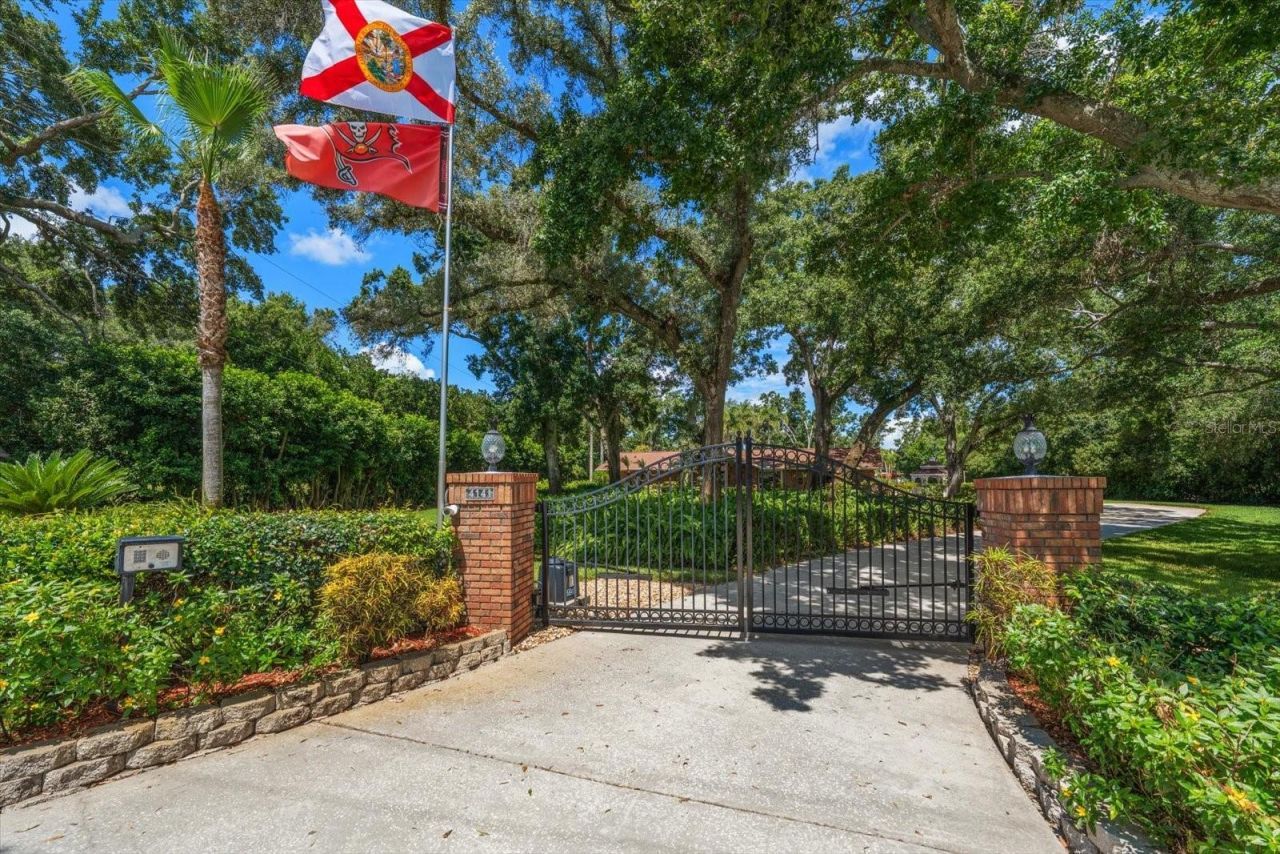 4141 Winding Willow Drive, Palm Harbor, FL 34683 Photo