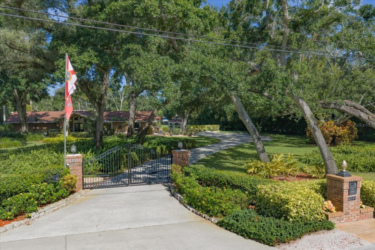 4141 Winding Willow Drive, Palm Harbor, FL 34683 Photo