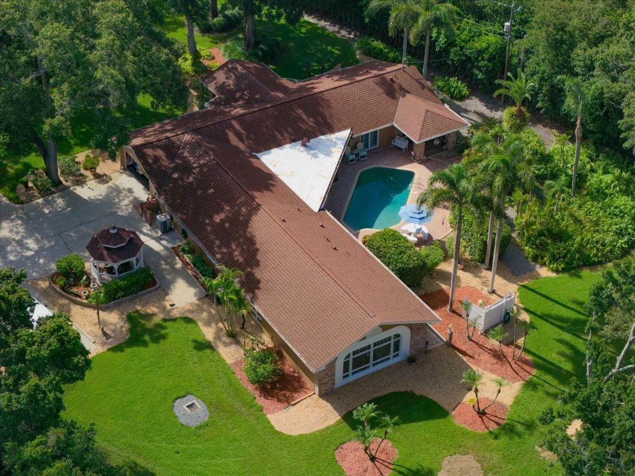 4141 Winding Willow Drive, Palm Harbor, FL 34683 Photo