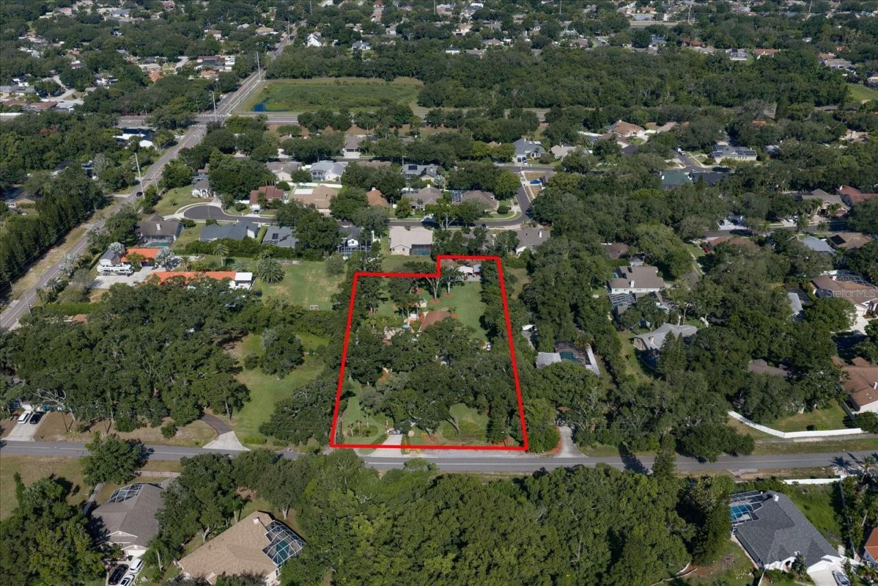 4141 Winding Willow Drive, Palm Harbor, FL 34683 Photo
