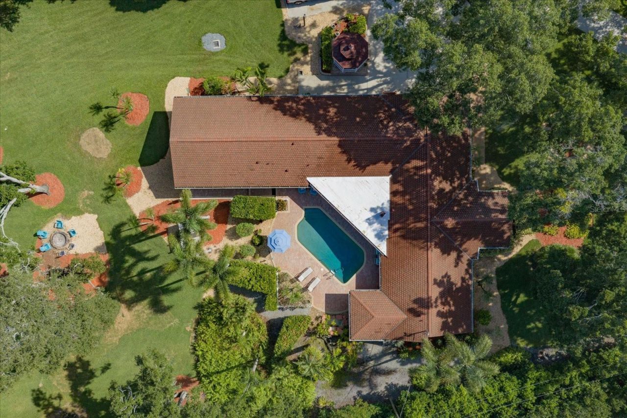 4141 Winding Willow Drive, Palm Harbor, FL 34683 Photo