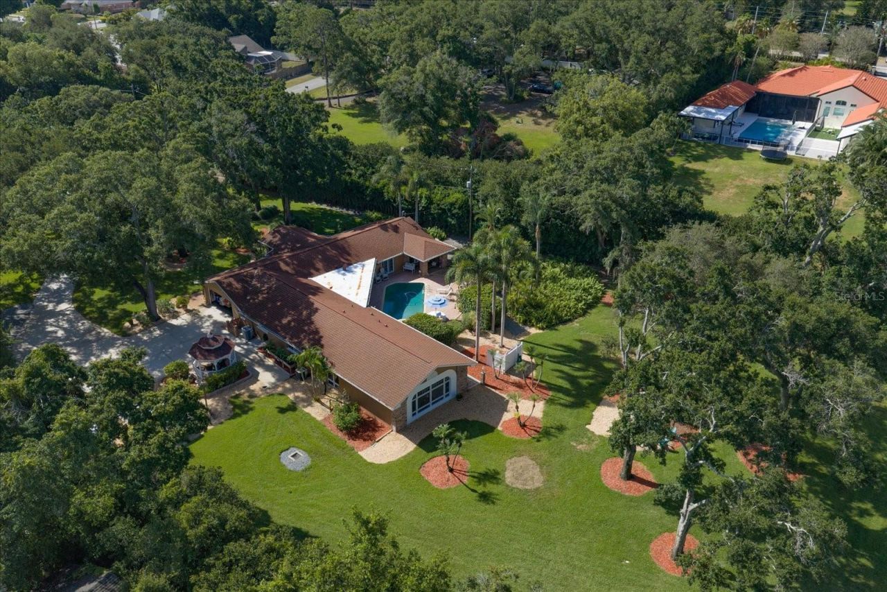 4141 Winding Willow Drive, Palm Harbor, FL 34683 Photo