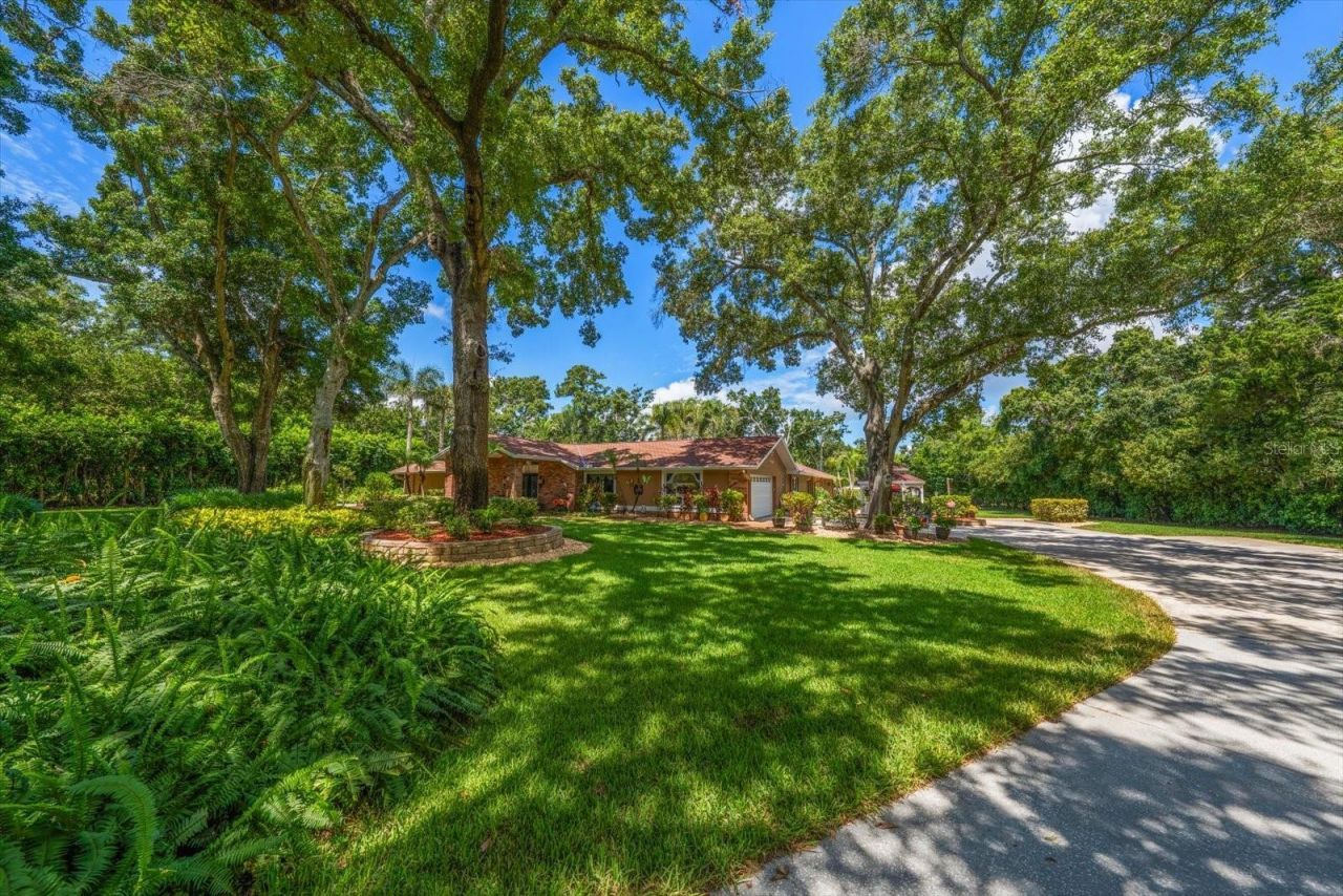 4141 Winding Willow Drive, Palm Harbor, FL 34683 Photo
