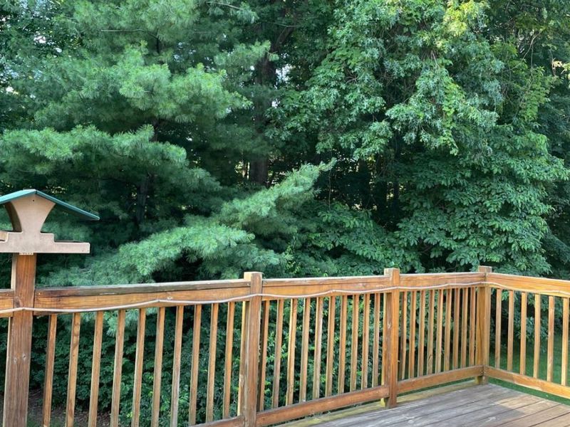 1138 Chestnut Court, Union Twp, OH 45245 Photo 2