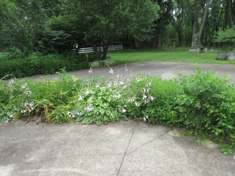 35 Licking View Drive , Heath, OH 43056 Photo 10