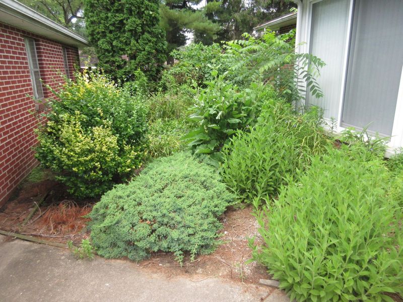 35 Licking View Drive , Heath, OH 43056 Photo 9