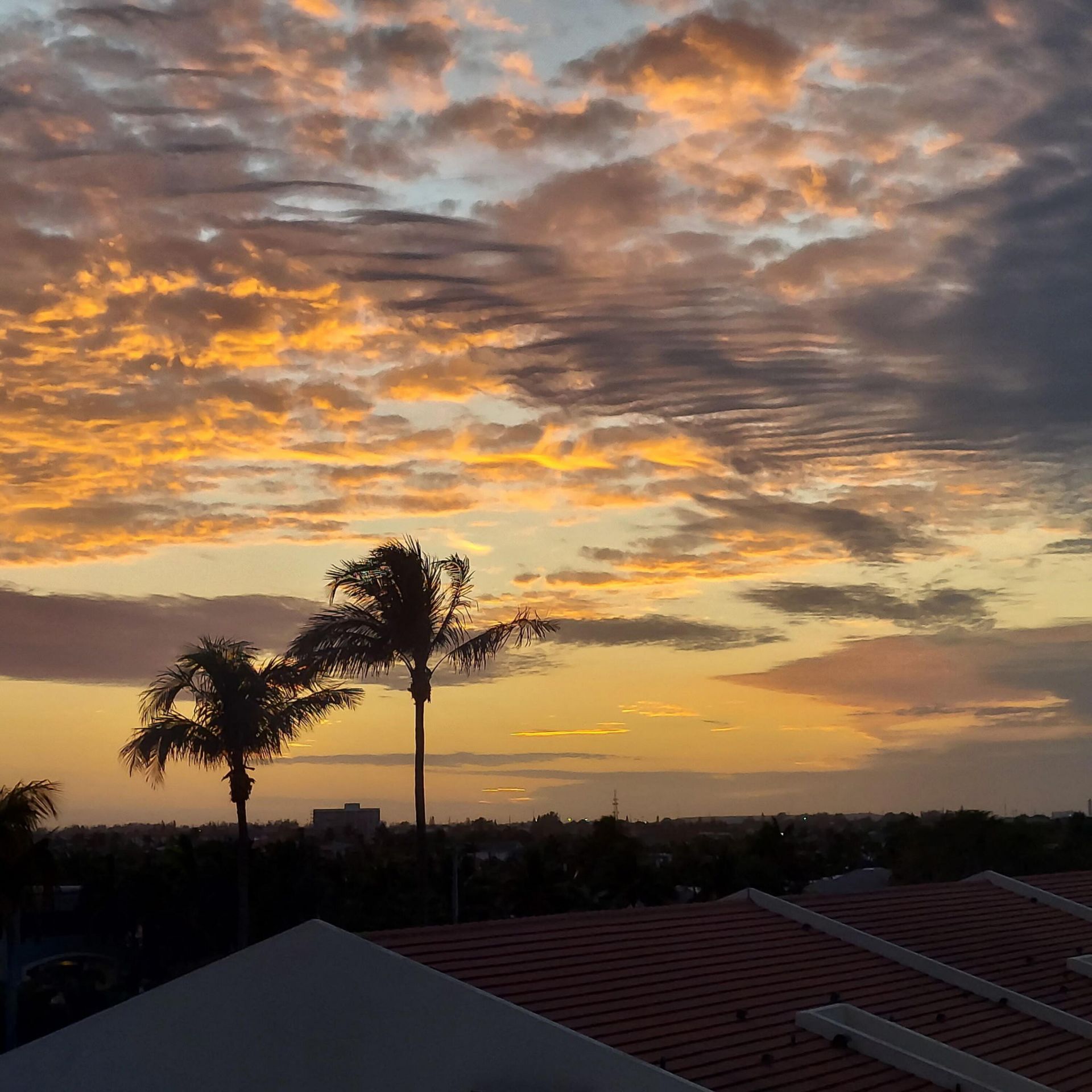 4000 N Ocean Drive, Unit 403, Riviera Beach, FL 33404 Photo