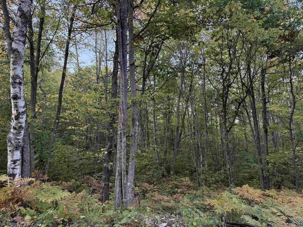 000 Highway 2, Iron River, WI 54847