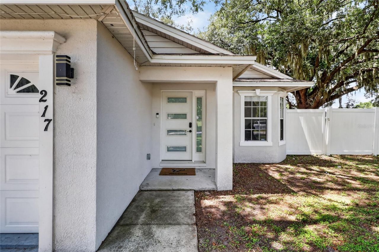 217 E Edward Street, Lakeland, FL 33805 Photo
