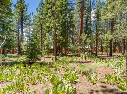 11921 Oslo Drive, Truckee, CA 96161 Photo