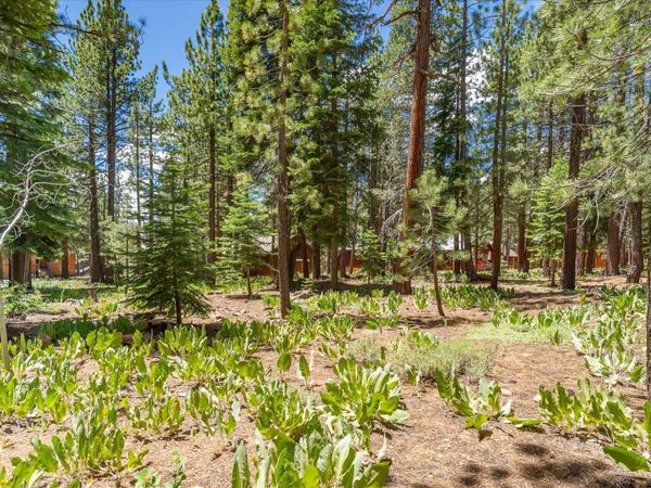 11921 Oslo Drive, Truckee, CA 96161