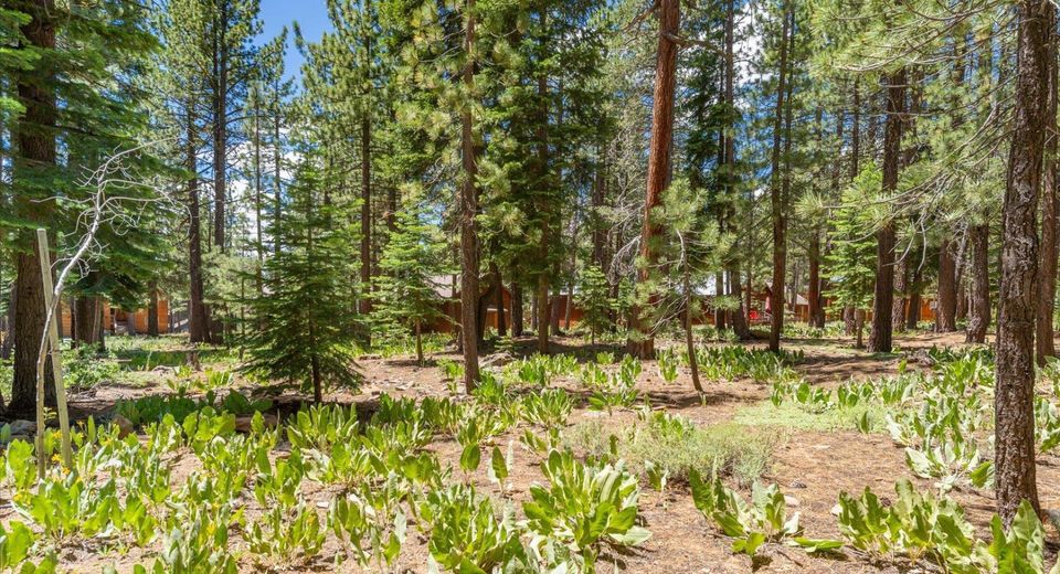 11921 Oslo Drive, Truckee, CA 96161 Photo