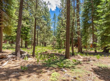 11921 Oslo Drive, Truckee, CA 96161 Photo