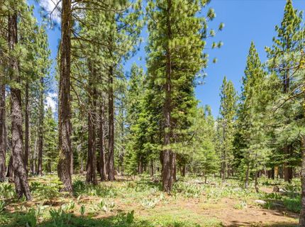 11921 Oslo Drive, Truckee, CA 96161 Photo