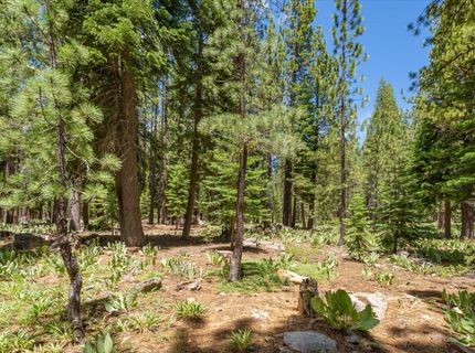 11921 Oslo Drive, Truckee, CA 96161 Photo