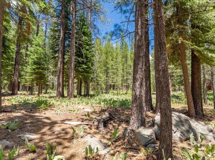 11921 Oslo Drive, Truckee, CA 96161 Photo