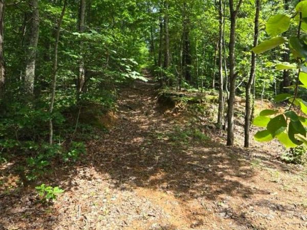 185 Co Rd 179 , Decatur, TN 37322