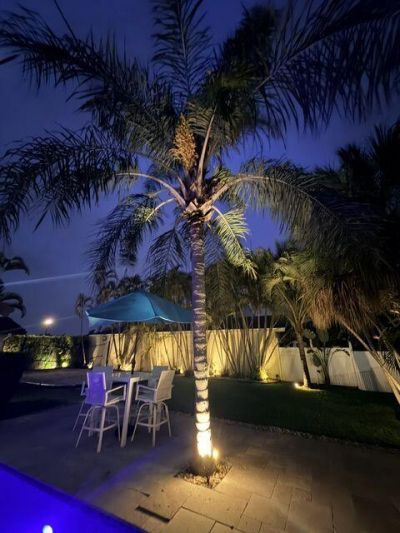 11455 Whisper Sound Drive, Boca Raton, FL 33428 Photo
