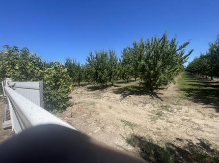 22095 State Highway 120, Escalon, CA 95320 Photo